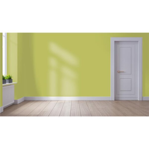 Wandfarbe Matt NCS-S-2040-G70Y WALLCOVER Colors
