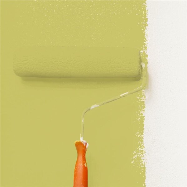 Wandfarbe Matt NCS-S-2040-G80Y WALLCOVER Colors