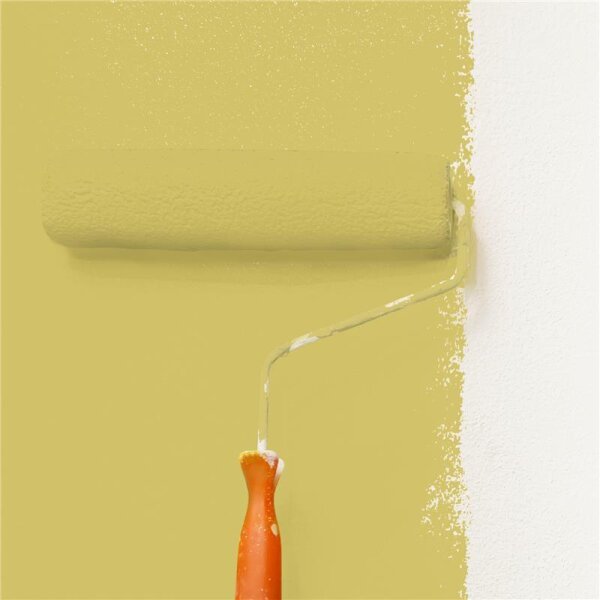 Wandfarbe Matt NCS-S-2040-G90Y WALLCOVER Colors