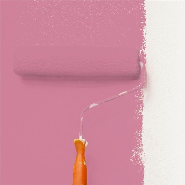 Wandfarbe Matt NCS-S-2040-R20B WALLCOVER Colors