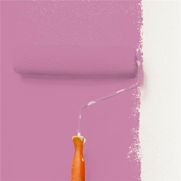 Wandfarbe Matt NCS-S-2040-R30B WALLCOVER Colors