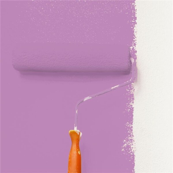 Wandfarbe Matt NCS-S-2040-R40B WALLCOVER Colors