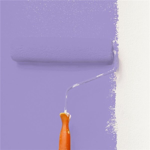 Wandfarbe Matt NCS-S-2040-R60B WALLCOVER Colors