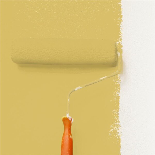 Wandfarbe Matt NCS-S-2040-Y WALLCOVER Colors