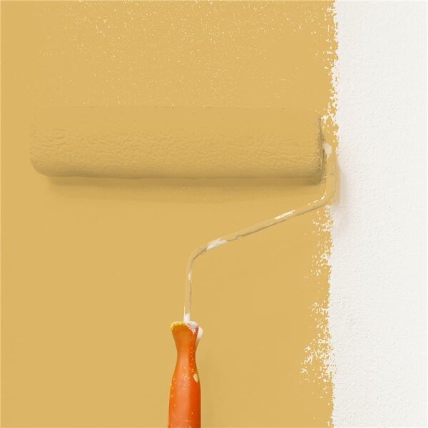 Wandfarbe Matt NCS-S-2040-Y10R WALLCOVER Colors