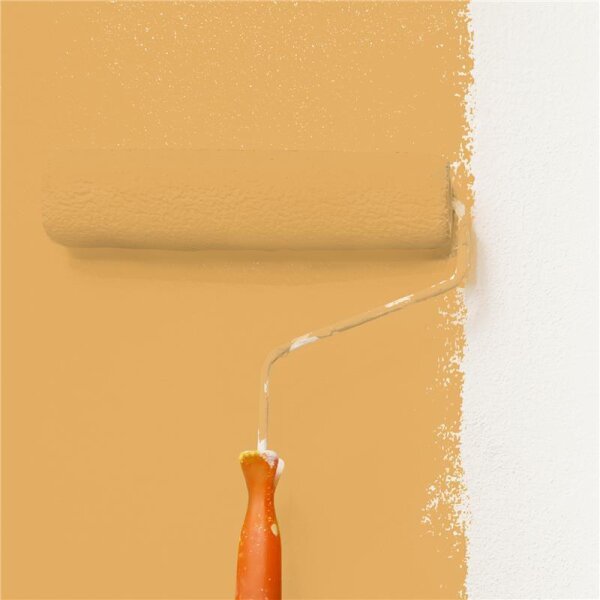 Wandfarbe Matt NCS-S-2040-Y20R WALLCOVER Colors