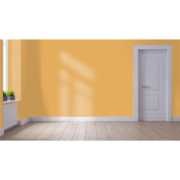 Wandfarbe Matt NCS-S-2040-Y20R WALLCOVER Colors