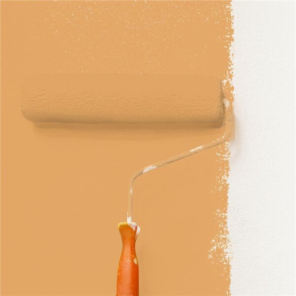 Wandfarbe Matt NCS-S-2040-Y30R WALLCOVER Colors