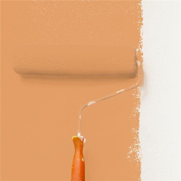 Wandfarbe Matt NCS-S-2040-Y40R WALLCOVER Colors