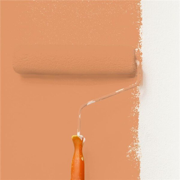 Wandfarbe Matt NCS-S-2040-Y50R WALLCOVER Colors