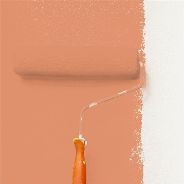 Wandfarbe Matt NCS-S-2040-Y60R WALLCOVER Colors
