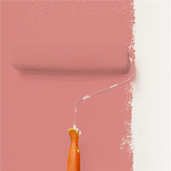 Wandfarbe Matt NCS-S-2040-Y90R WALLCOVER Colors