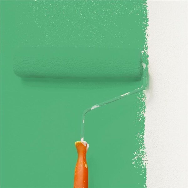 Wandfarbe Matt NCS-S-2050-G10Y WALLCOVER Colors