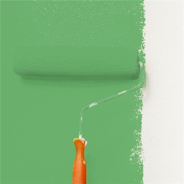 Wandfarbe Matt NCS-S-2050-G20Y WALLCOVER Colors