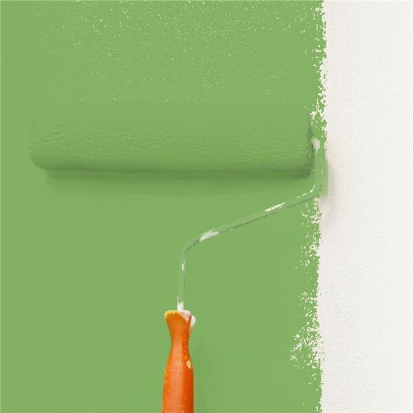 Wandfarbe Matt NCS-S-2050-G30Y WALLCOVER Colors