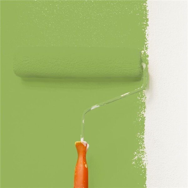 Wandfarbe Matt NCS-S-2050-G40Y WALLCOVER Colors