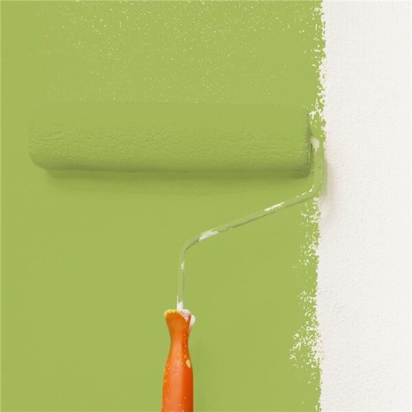 Wandfarbe Matt NCS-S-2050-G50Y WALLCOVER Colors