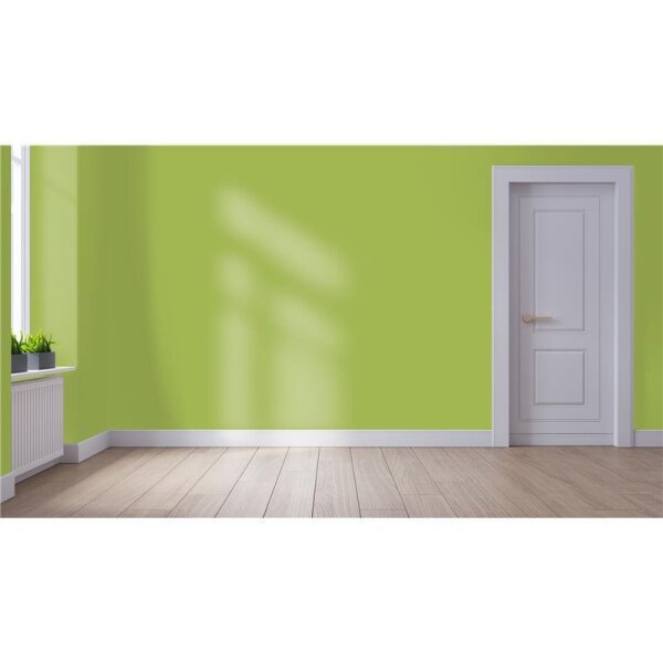Wandfarbe Matt NCS-S-2050-G50Y WALLCOVER Colors