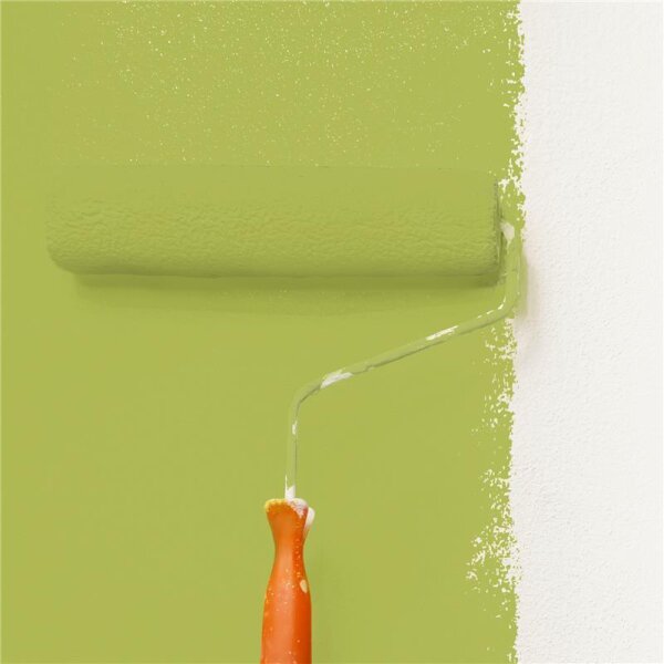 Wandfarbe Matt NCS-S-2050-G60Y WALLCOVER Colors