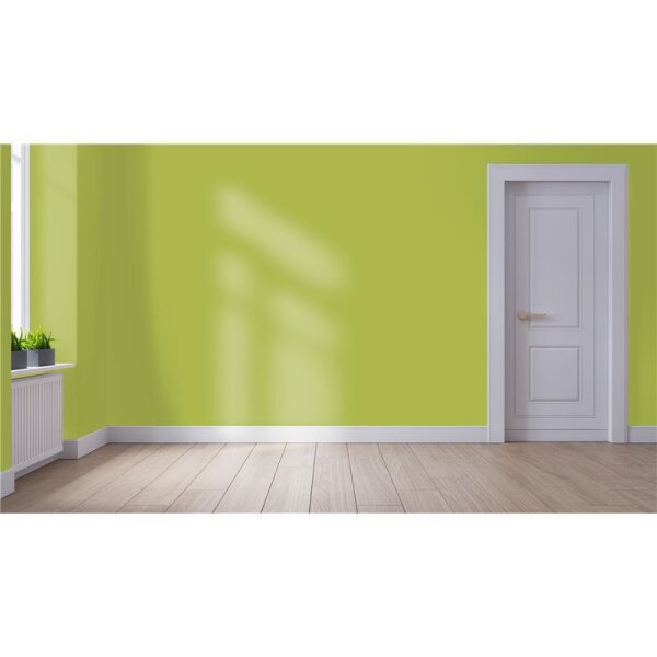 Wandfarbe Matt NCS-S-2050-G60Y WALLCOVER Colors