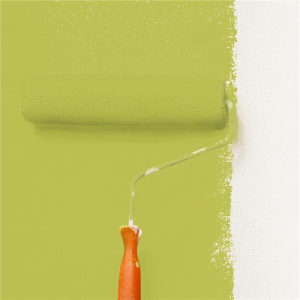 Wandfarbe Matt NCS-S-2050-G70Y WALLCOVER Colors
