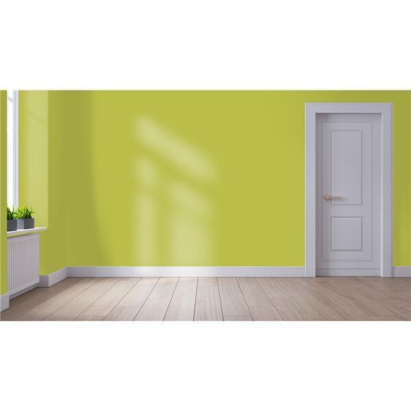 Wandfarbe Matt NCS-S-2050-G70Y WALLCOVER Colors
