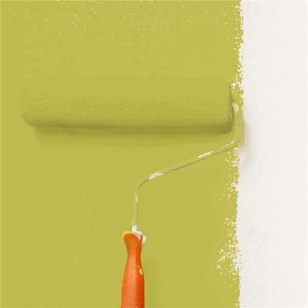 Wandfarbe Matt NCS-S-2050-G80Y WALLCOVER Colors