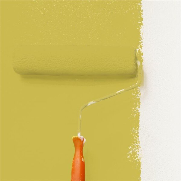 Wandfarbe Matt NCS-S-2050-G90Y WALLCOVER Colors