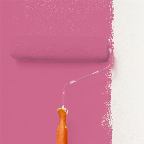 Wandfarbe Matt NCS-S-2050-R20B WALLCOVER Colors