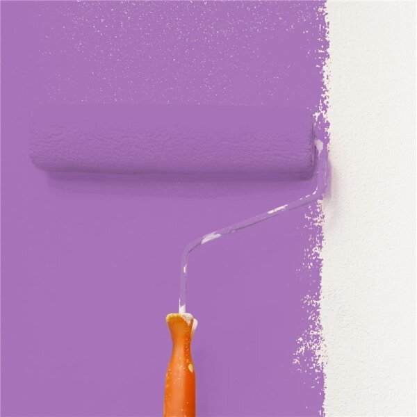 Wandfarbe Matt NCS-S-2050-R50B WALLCOVER Colors