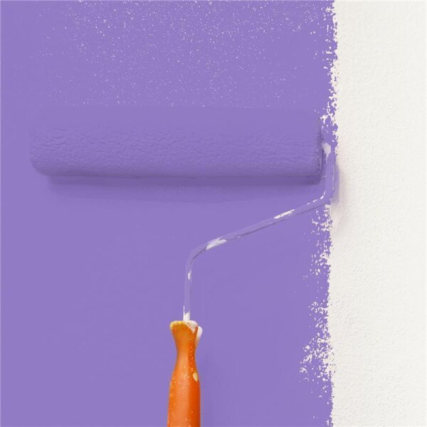 Wandfarbe Matt NCS-S-2050-R60B WALLCOVER Colors