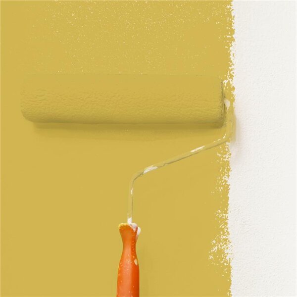 Wandfarbe Matt NCS-S-2050-Y WALLCOVER Colors