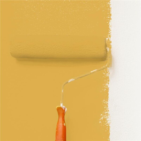 Wandfarbe Matt NCS-S-2050-Y10R WALLCOVER Colors