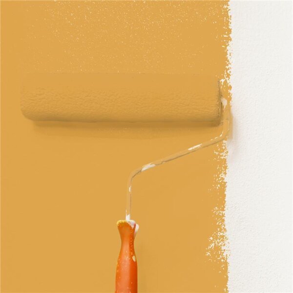 Wandfarbe Matt NCS-S-2050-Y20R WALLCOVER Colors