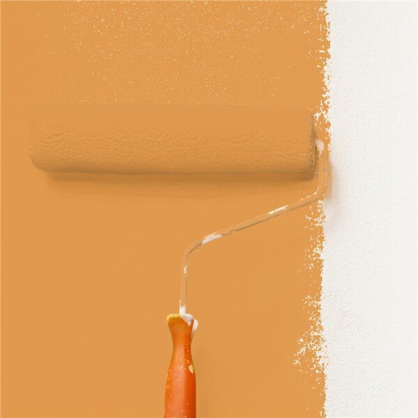 Wandfarbe Matt NCS-S-2050-Y30R WALLCOVER Colors