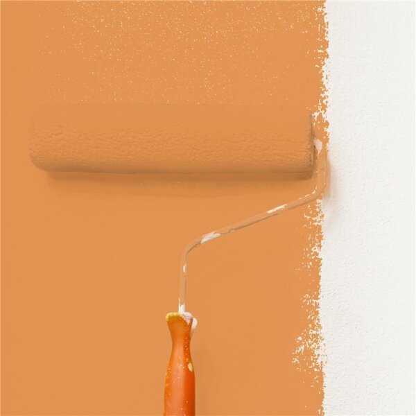Wandfarbe Matt NCS-S-2050-Y40R WALLCOVER Colors