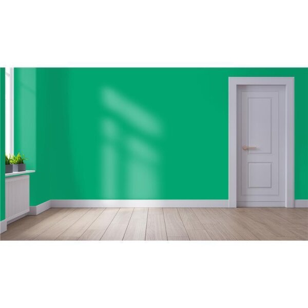 Wandfarbe Matt NCS-S-2060-G WALLCOVER Colors