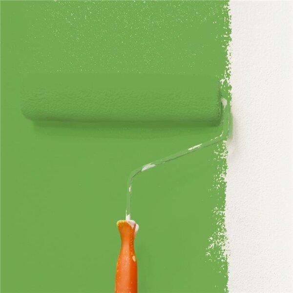 Wandfarbe Matt NCS-S-2060-G30Y WALLCOVER Colors