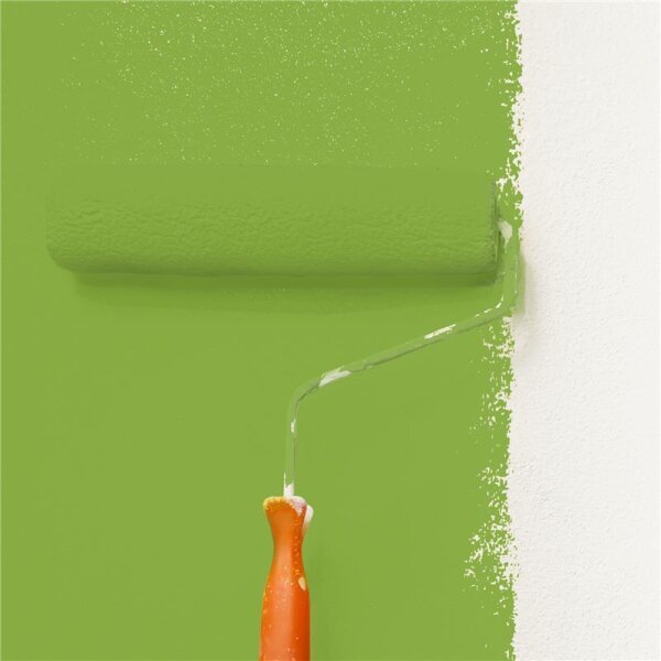 Wandfarbe Matt NCS-S-2060-G40Y WALLCOVER Colors