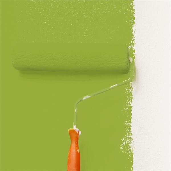 Wandfarbe Matt NCS-S-2060-G50Y WALLCOVER Colors