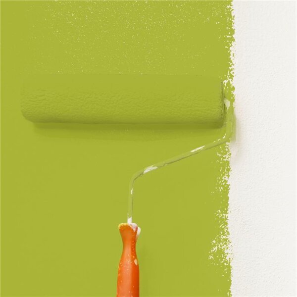 Wandfarbe Matt NCS-S-2060-G60Y WALLCOVER Colors