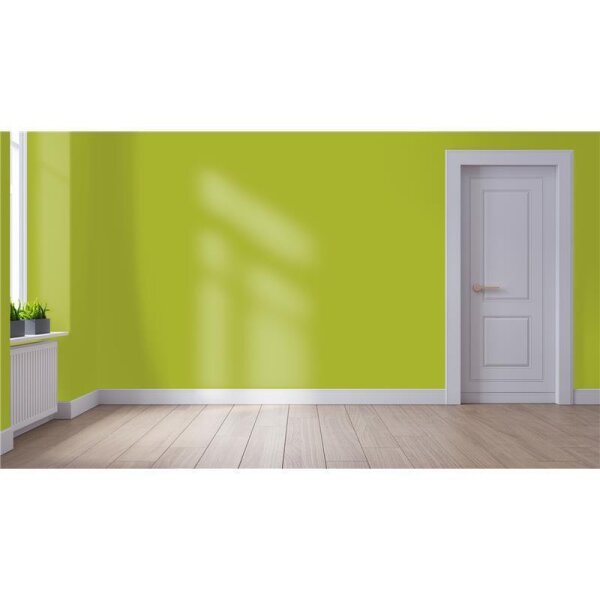 Wandfarbe Matt NCS-S-2060-G60Y WALLCOVER Colors