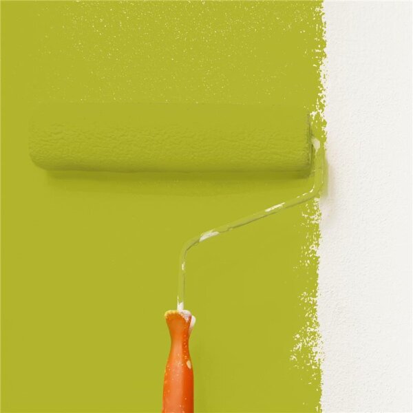Wandfarbe Matt NCS-S-2060-G70Y WALLCOVER Colors