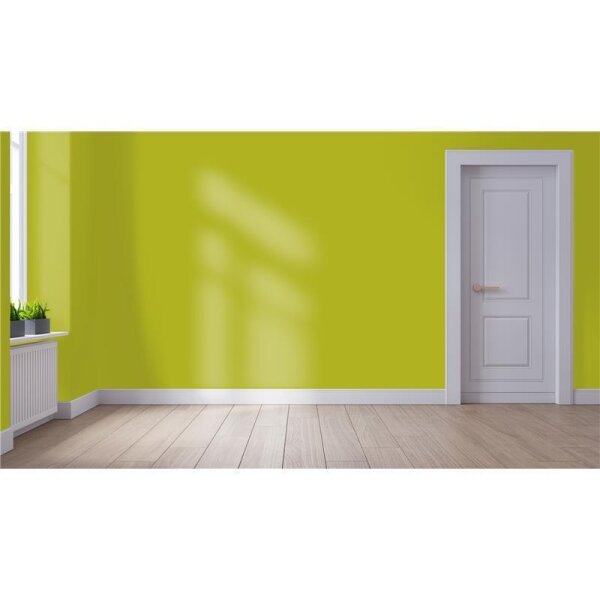 Wandfarbe Matt NCS-S-2060-G70Y WALLCOVER Colors