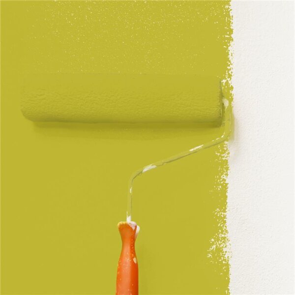 Wandfarbe Matt NCS-S-2060-G80Y WALLCOVER Colors
