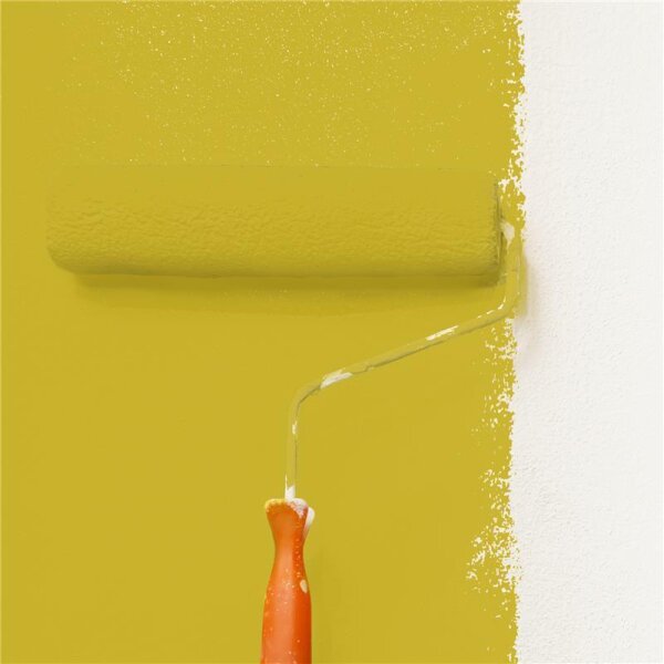Wandfarbe Matt NCS-S-2060-G90Y WALLCOVER Colors