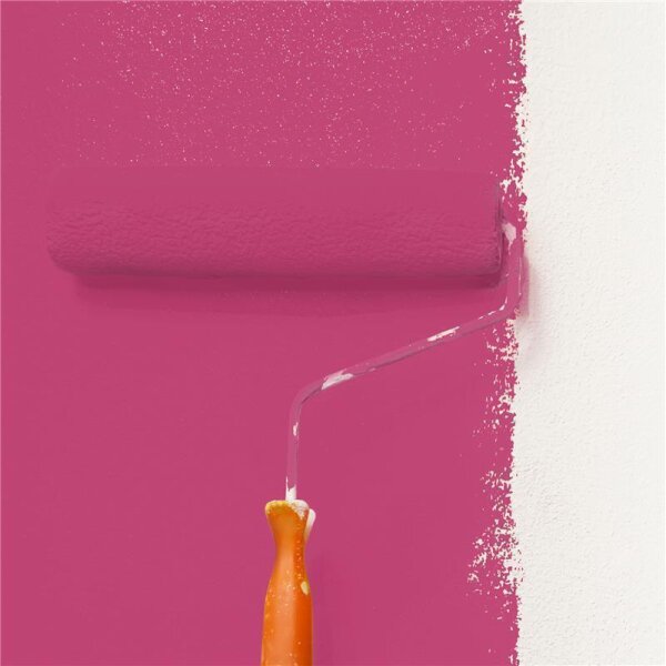 Wandfarbe Matt NCS-S-2060-R20B WALLCOVER Colors