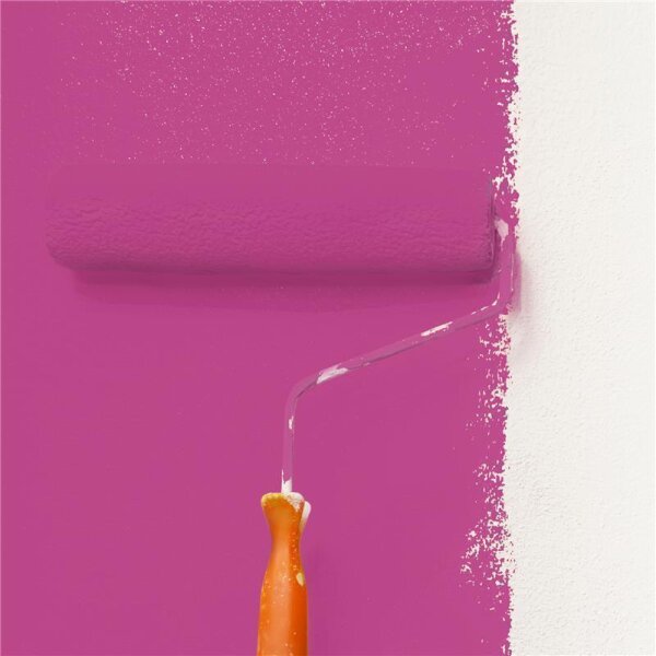 Wandfarbe Matt NCS-S-2060-R30B WALLCOVER Colors