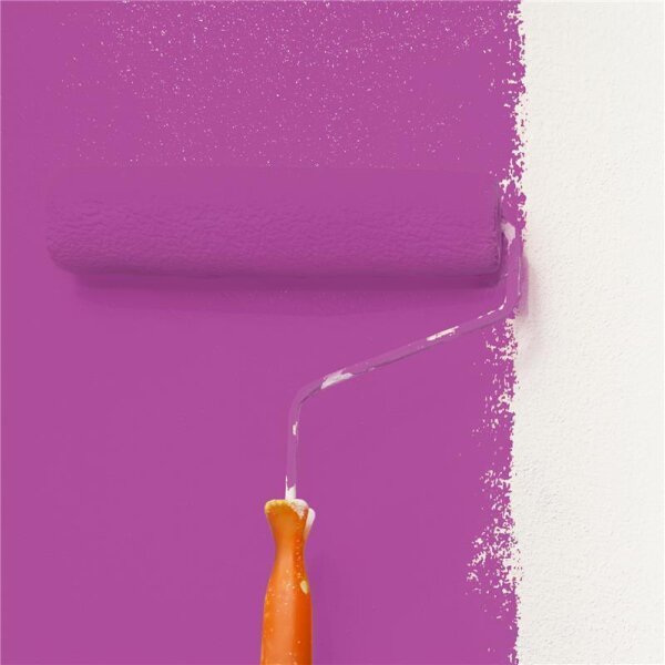 Wandfarbe Matt NCS-S-2060-R40B WALLCOVER Colors