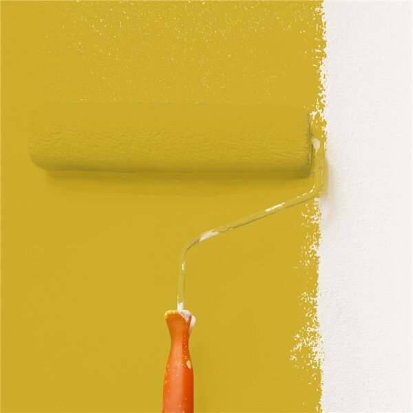 Wandfarbe Matt NCS-S-2060-Y WALLCOVER Colors
